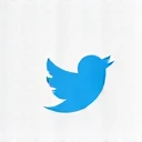 Twitter icon